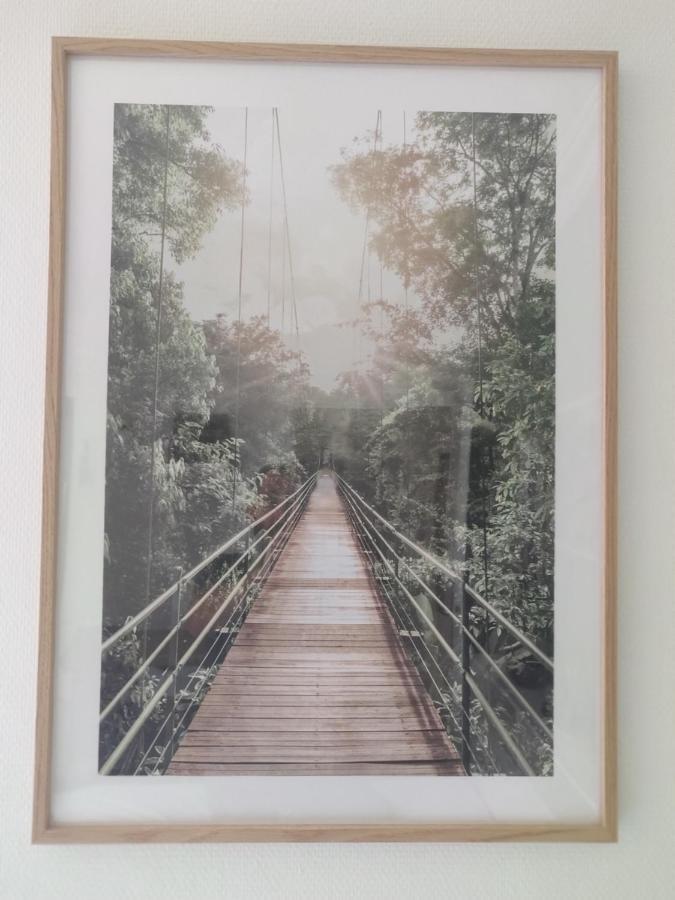 Le Paquier - Mycosyapart, Vieille Ville, Calme, Lac 100M, Netflix Annecy Dış mekan fotoğraf